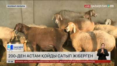 Жамбыл облысында 200-ден астам қойды сатып жіберген