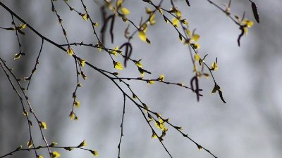 Қазақстанның ірі қалаларында бүгін күн бұлтты, десе де жылы болады