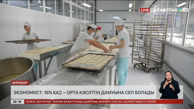 Экономист: 16% ҚҚС орта кәсіптің дамуына сеп болады