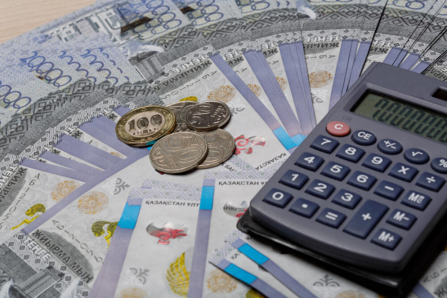 Түркістан облысында ауыл шаруашылығына бөлінген 103 млн теңге көлеміндегі субсидияның қолды болғаны анықталды